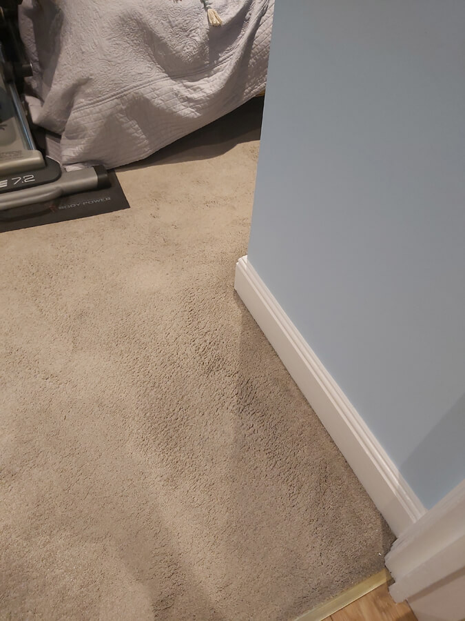 Carpet stain removal from Silent Mites
