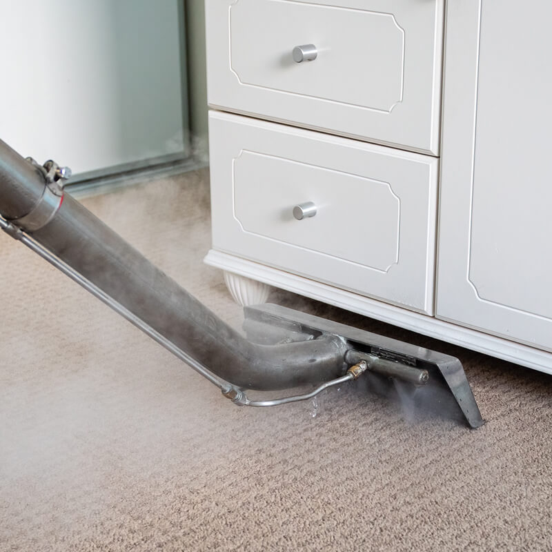 Carpet cleaning services from Silent Mites
