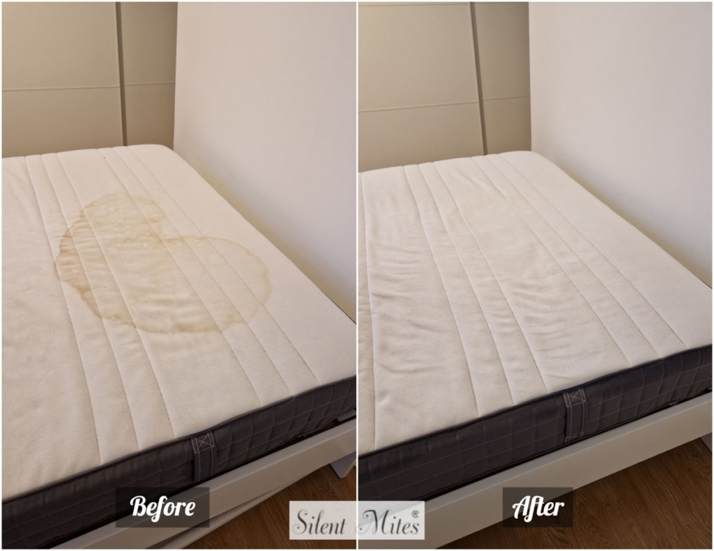 A Guide to the Best Mattresses for Cleaning Silent Mites