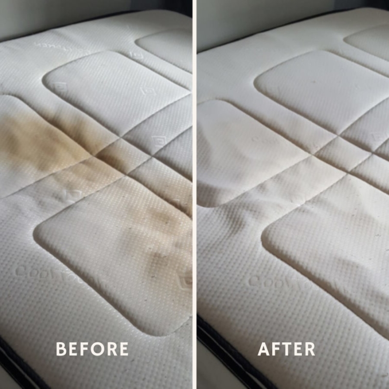 Mattress cleaning Edgware & dust mite removal Stanmore