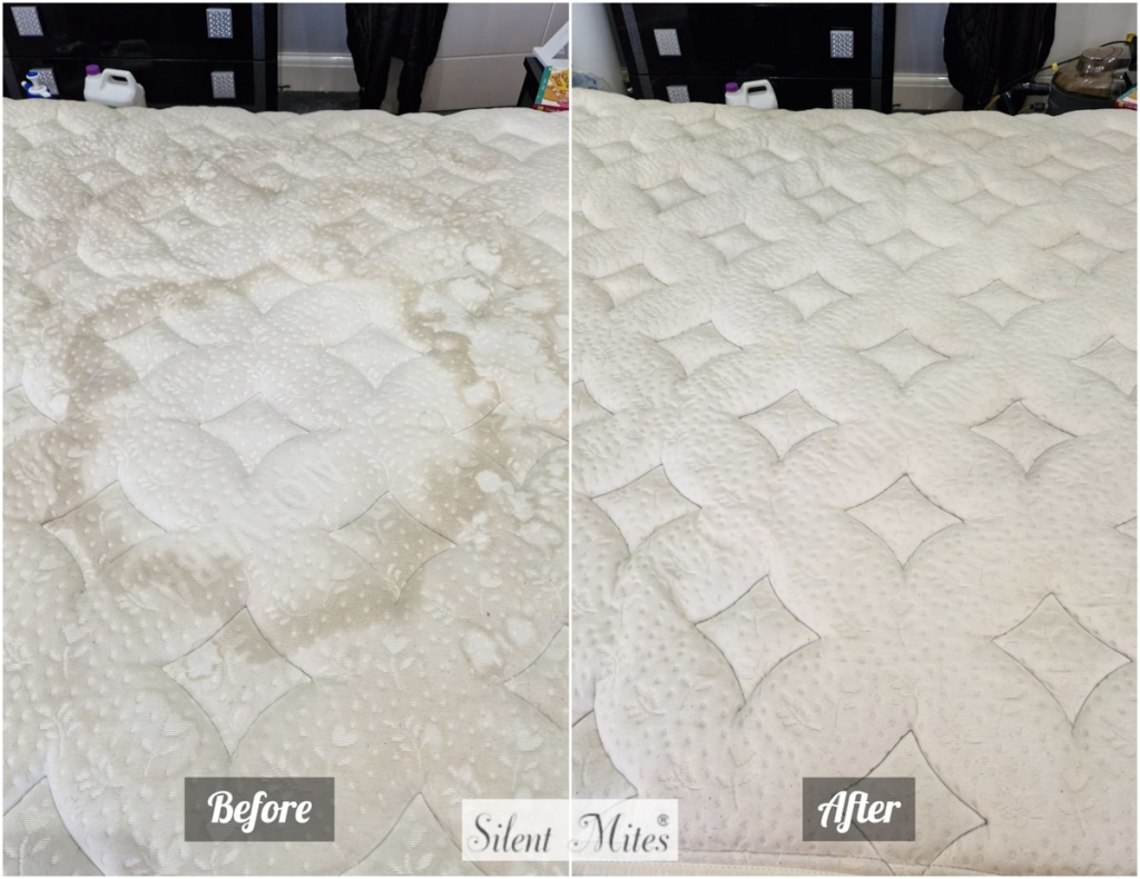 A Guide to the Best Mattresses for Cleaning Silent Mites