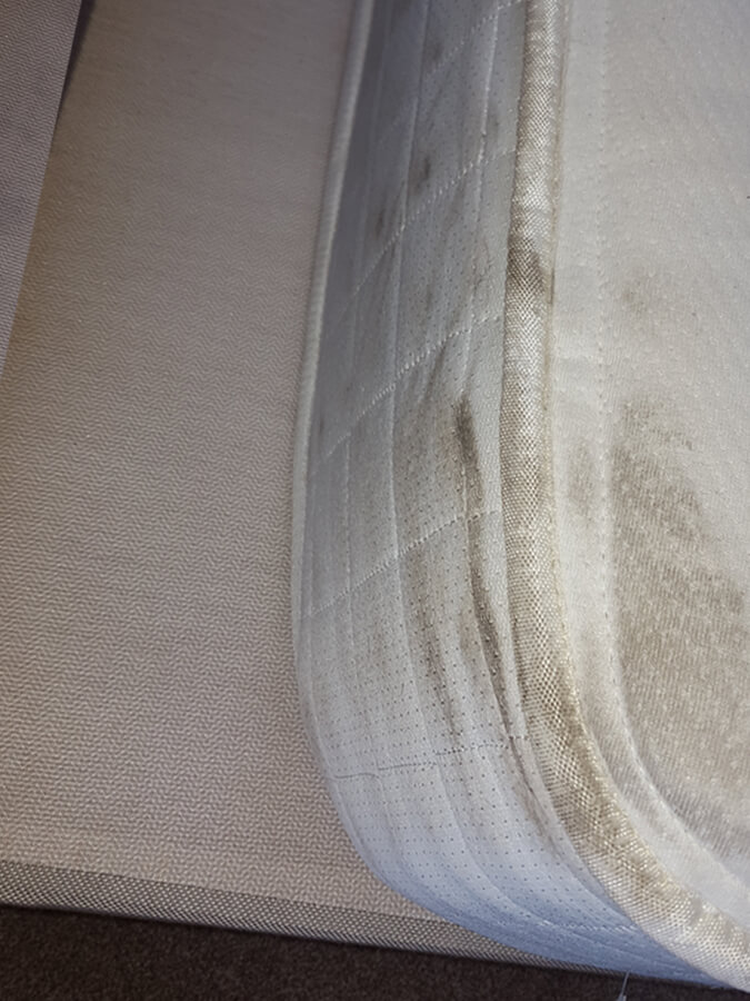 Removing stains from mattresses from Silent Mites