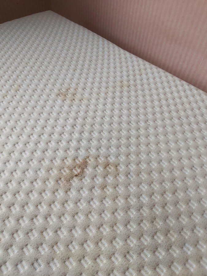 Removing stains from mattresses from Silent Mites