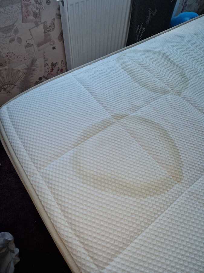 Professional mattress stain removal Silent Mites