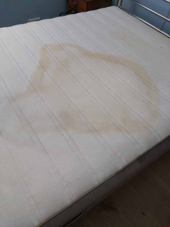 Removing urine stains from mattresses with Silent Mites